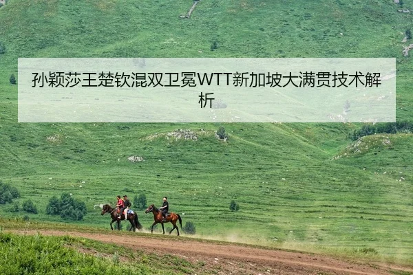 孙颖莎王楚钦混双卫冕WTT新加坡大满贯技术解析