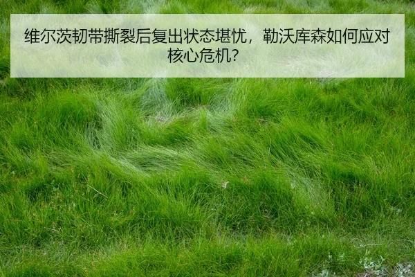 wei-er-ci-ren-dai-si-lie-hou-fu-chu-zhuang-tai-kan-you-lei-wo-ku-sen-ru-he-ying-dui-he-xin-wei-ji-3-113.jpg