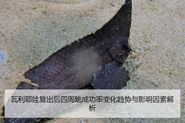 wa-li-ye-wa-fu-chu-hou-si-zhou-tiao-cheng-gong-lv-bian-hua-qu-shi-yu-ying-xiang-yin-su-jie-xi-2-805.jpg