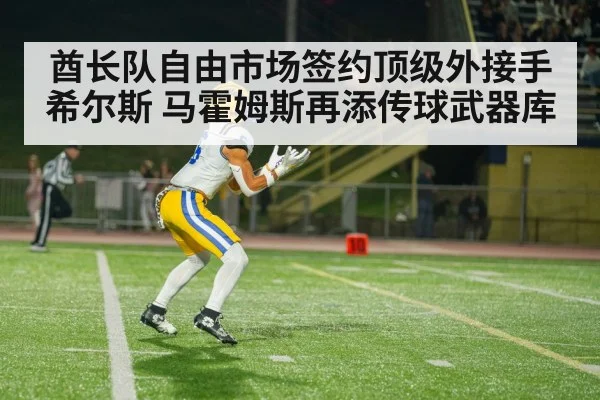 酋长队自由市场签约顶级外接手希尔斯 马霍姆斯再添传球武器库