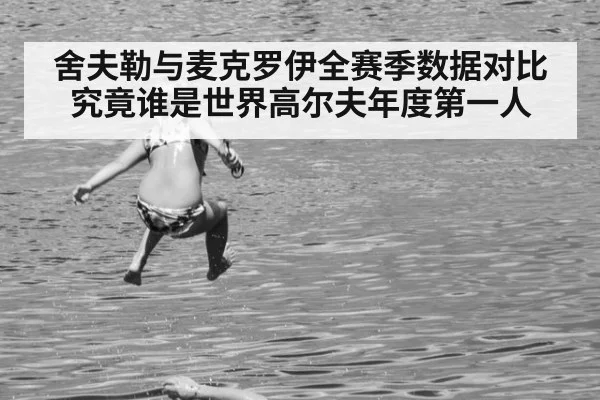 舍夫勒与麦克罗伊全赛季数据对比究竟谁是世界高尔夫年度第一人